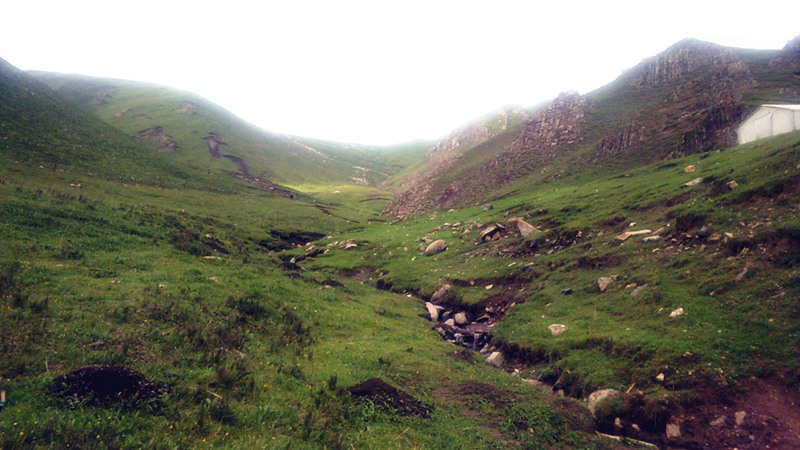 1594372645282368.jpg 微信圖片_20200709163628_副本.jpg